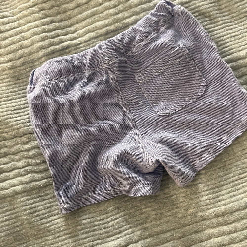 Polo by Ralph Lauren Lavender Athletic Shorts